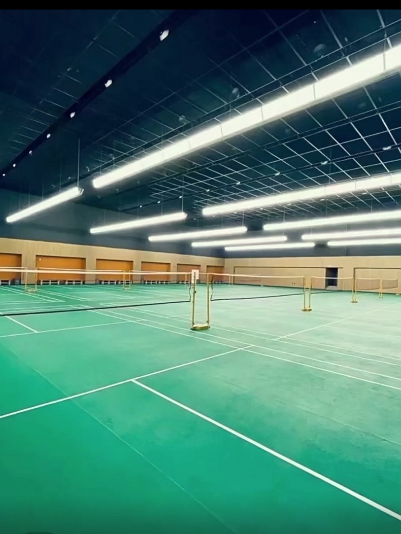 High-CRI Honeycomb Anti-Glare  – Hall Table Tennis recenzja i cena