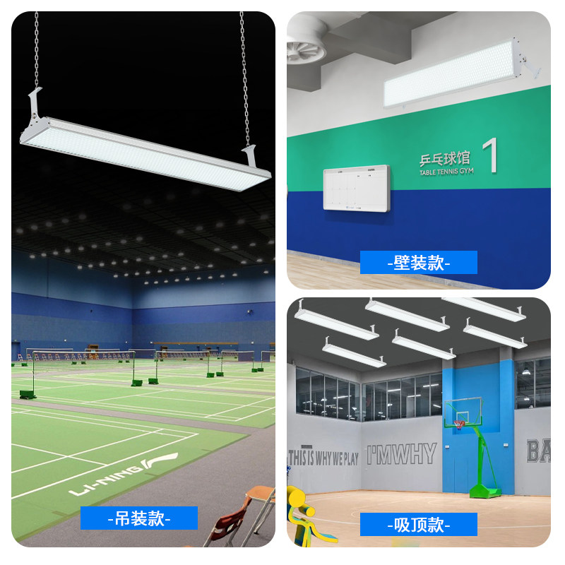 Badminton, koszykówka, tenis s – Hall Table Tennis recenzja i cena